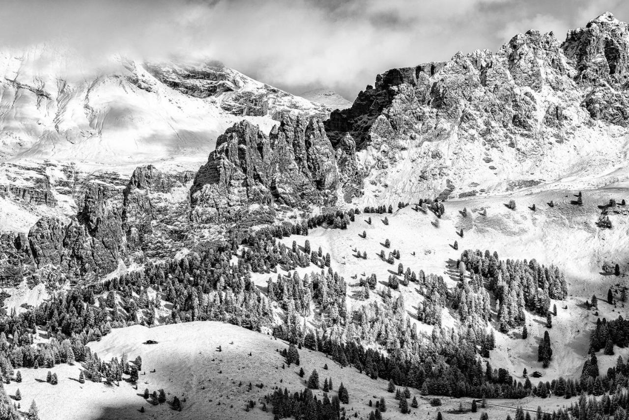 Hatzeshof Alpenglueck ライオーン エクステリア 写真